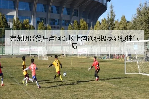 弗莱明盛赞马卢阿奇场上沟通积极尽显领袖气质